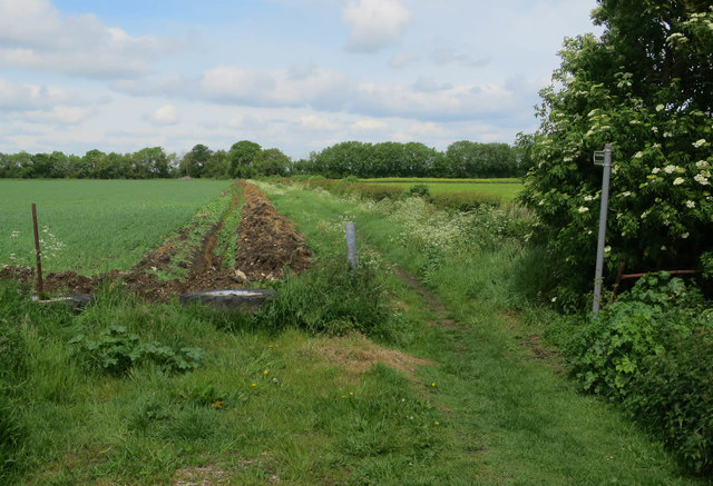 New ditch by Archie's Way