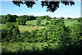 SX4169 : Wooded Valley near Norris Green by Des Blenkinsopp