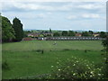 Football Ground, Northallerton