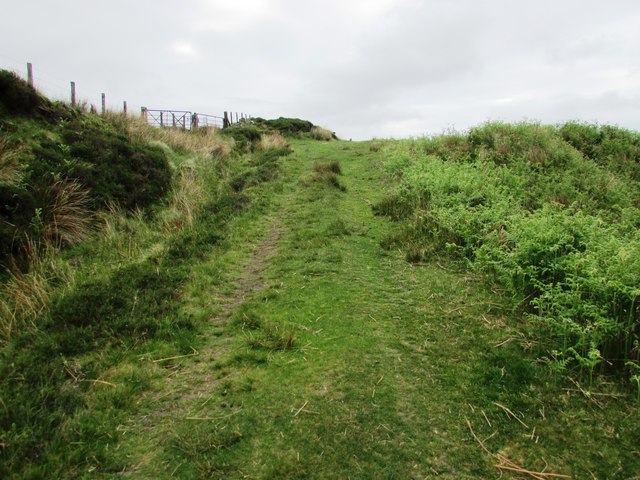Path to Bishop Hill, Lomond Hills