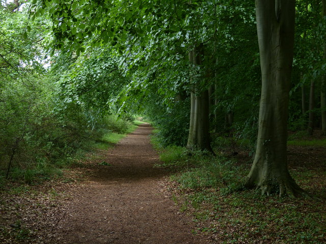 The Peddars Way at West Harling Belt © Mat Fascione cc-by-sa/2.0 ...