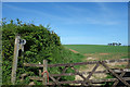 Footpath Gate near Newton Farm