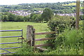 Field above Pentwyn-mawr