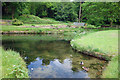 Pond at Buckland Abbey