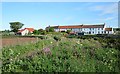 Former Coastguard Houses