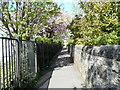 Small Footpath leading to Broomhead Flats