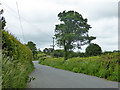 Lane towards Yetminster