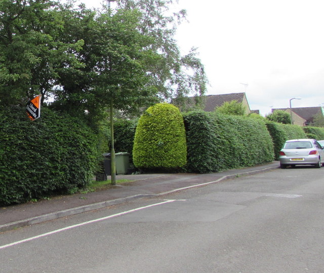 Liberal Democrats placard in a Station Road hedge, Kemble