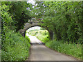 ST6721 : Railway bridge over Shoredown Lane by Robin Webster