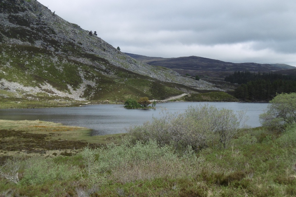 Island in Loch Gynack © Richard Webb :: Geograph Britain and Ireland