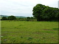 Field near Tygwyn Farm