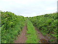 Farm track across fields