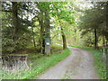 Harryhill Gundog Training Kennels