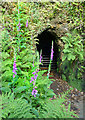 Mine Entrance at Danescombe Mine