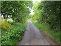 Lane to An Garradh Dubh (Black Dyke)