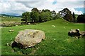 NX5594 : Holm of Daltallochan Stone Circle by Mary and Angus Hogg