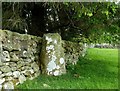 Standing Stone at Daltallochan