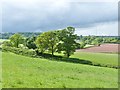 SY2599 : View over the East Devon countryside from Loughwood  Baptist Meeting House, near Axminster by Derek Voller