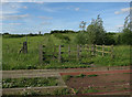 Bridleway from Busway