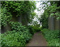 Former railway along the Peddars Way at Stonebridge