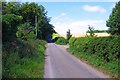 Road to Fulbrook near Burford, Oxon