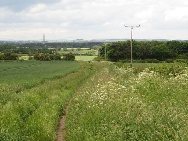 Footpath north of Nedderton
