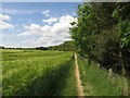 Public footpath between wheat and woodland