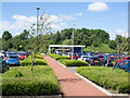 Planted beds at Belmont Park and Ride