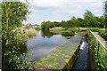 Outflow from the St Helens Canal