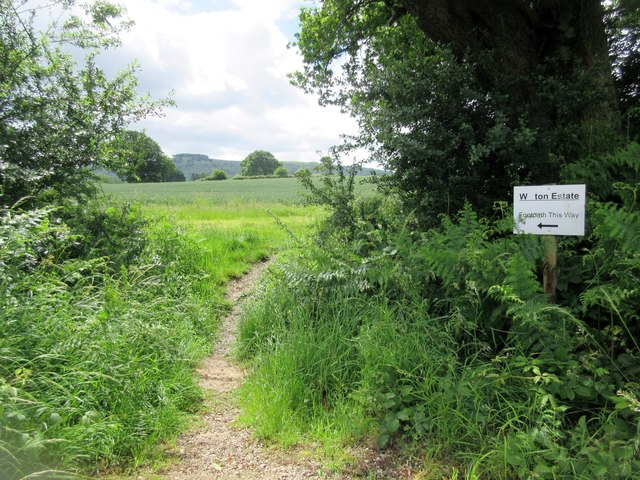 Path through hedge