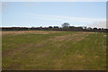 Field on the edge of Dartmoor