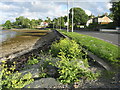 Shore Road at Ardnadam