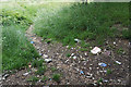 Litter next to footpath 97