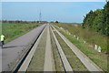 TL3968 : Guided busway & National Cycle Route 51 by N Chadwick