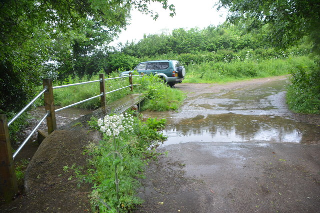 Chardstock Ford
