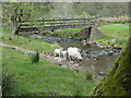 Footbridge over the River Brock