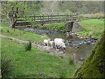 SD5644 : Footbridge over the River Brock by Bryan Pready