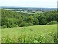 View over Ribbesford