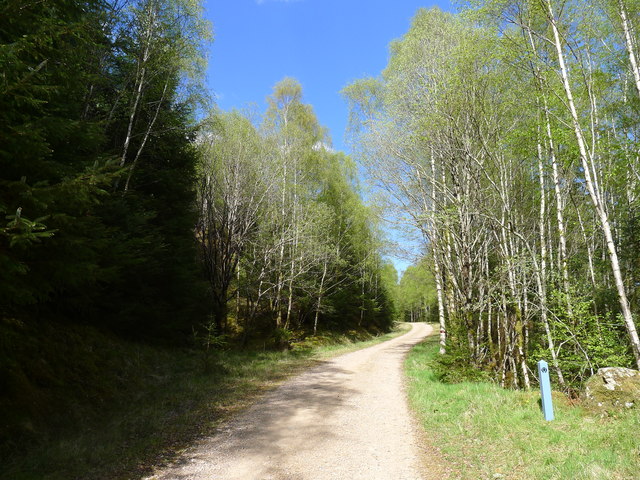 The Great Glen Way in South Laggan Forest