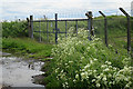 Airfield Gate