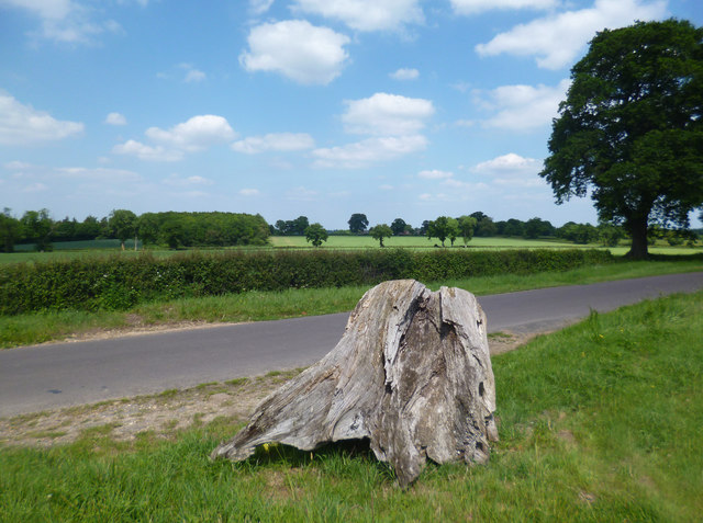 Green Lane, Stratfield Saye © Des Blenkinsopp :: Geograph Britain and ...