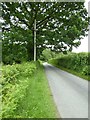 Country road near Callow Hill