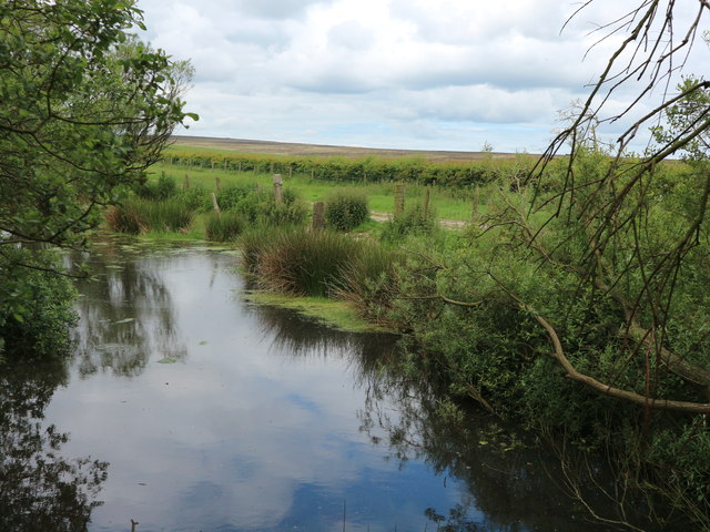 Man made pond on Lownorth Moor