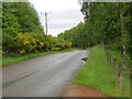 Minor road to Redburn and the A939