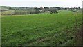 Countryside near St Tudy