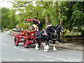 SD9062 : Thwaites Brewery Shire Horses at Malham by Oliver Dixon