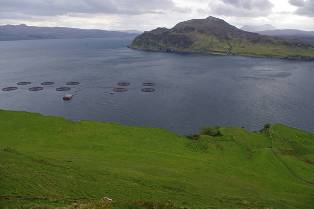 Am Bile and the Sound of Raasay