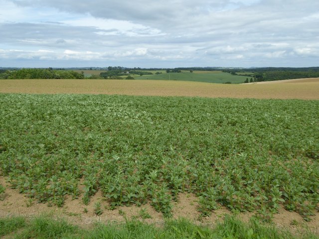South Shropshire farmland
