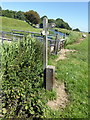 TQ9016 : Footpath Junction Sign near The Royal Military Canal by PAUL FARMER
