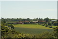 View of houses on Fulling Mill Lane from the Cat Survival Trust